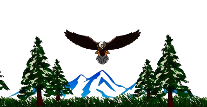 img 6649.jpg removebg preview